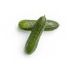 Cetrioli